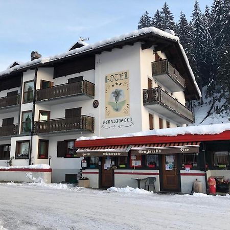Hotel Genzianella Presenaio Bagian luar foto