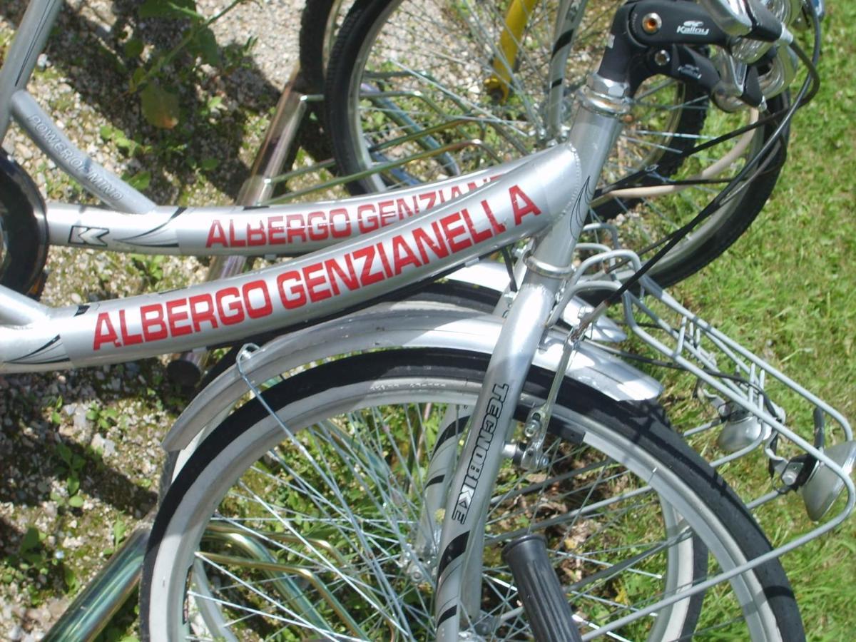 Hotel Genzianella Presenaio Bagian luar foto