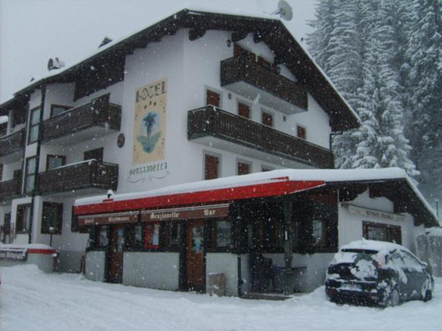 Hotel Genzianella Presenaio Bagian luar foto