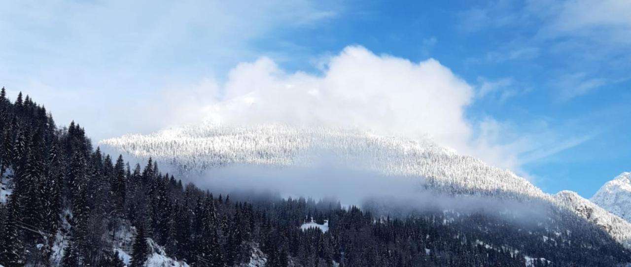 Hotel Genzianella Presenaio Bagian luar foto
